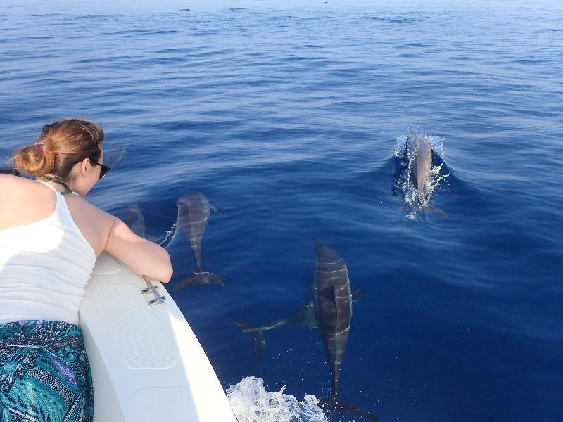 ホテル シーラビ イン Ukulhas エクステリア 写真